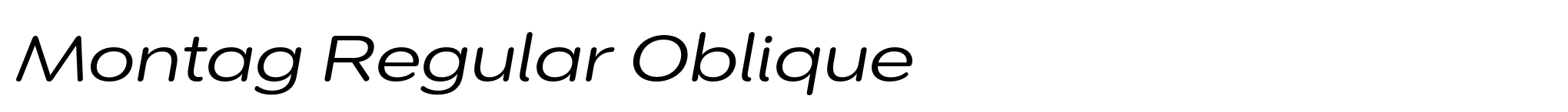 Montag Regular Oblique image